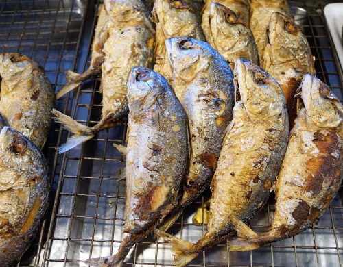 Food Fish Seafood Gourmet
